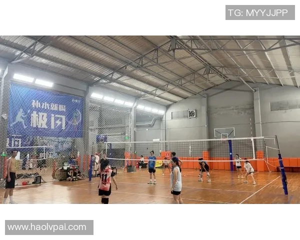 深圳排球队边路渗透战术解析与深度剖析排球技术的魅力与挑战