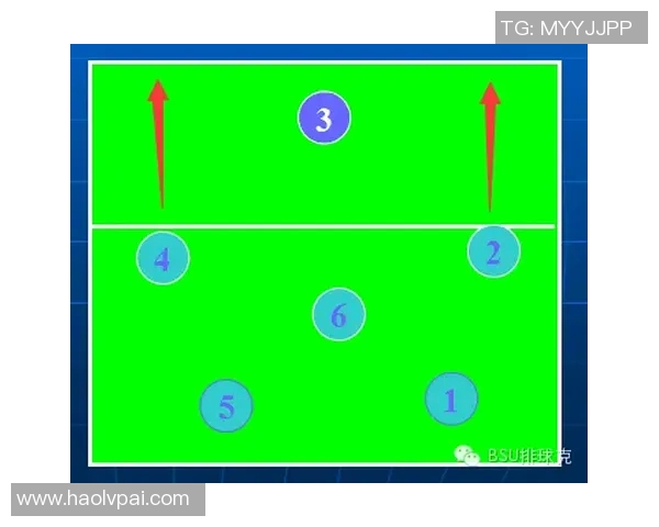 深入分析北京排球队进攻战术与技术特点的全景解读