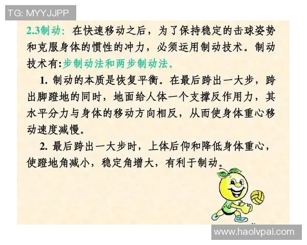 深圳排球队在总决赛中的耐力表现与战术分析全面解读 深圳排球队在总决赛中的耐力表现与战术分析全面解读