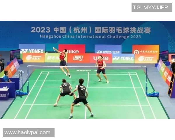 羽毛球的梦想与坚持：杭州羽毛球队成长历程的真实记录