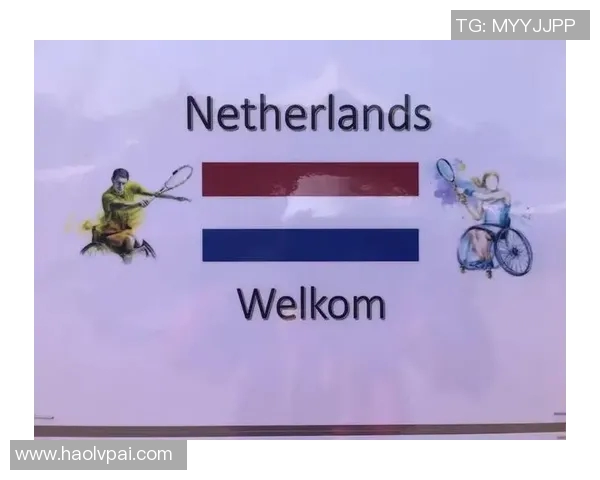 上海网球队杯赛技术分析与表现评估全景解读 上海网球队杯赛技术分析与表现评估全景解读