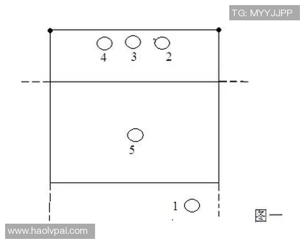 从零起步掌握排球技巧与战术全面指南助你成为排球高手
