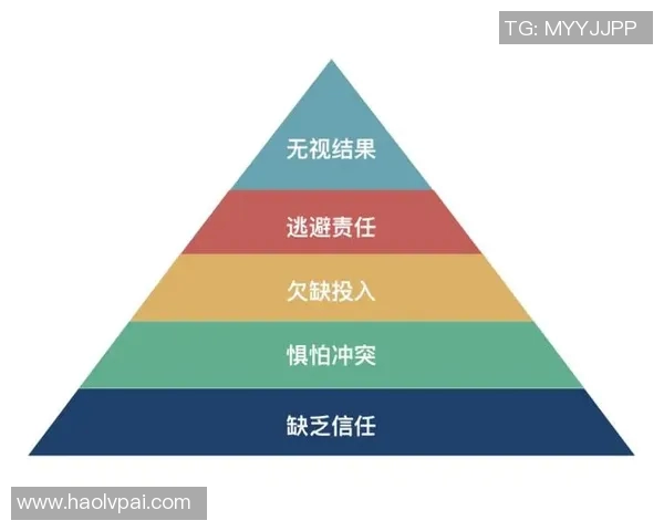 杭州篮球队的团队协作之道：共创辉煌的背后故事与实践探索