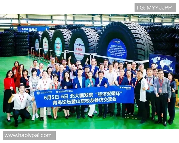 深入探讨JDG战队在比赛中的数据分析与经验表现总结