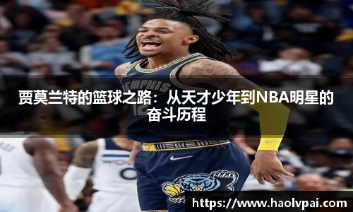 完美体育登录入口